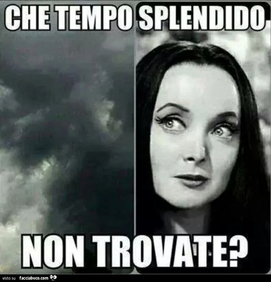 Che tempo splendito, non trovate?