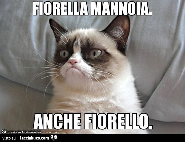 Fiorella mannoia. Anche fiorello