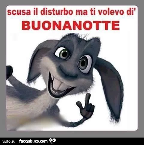 Scusa il disturbo ma ti volevo di' buonanotte