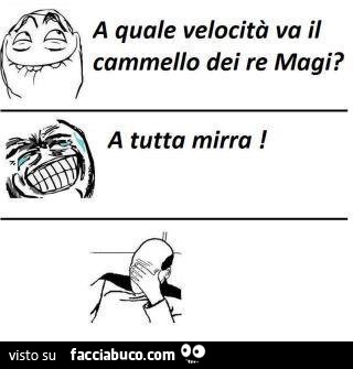 A quale velocità va il cammello dei re magi? A tutta mirra