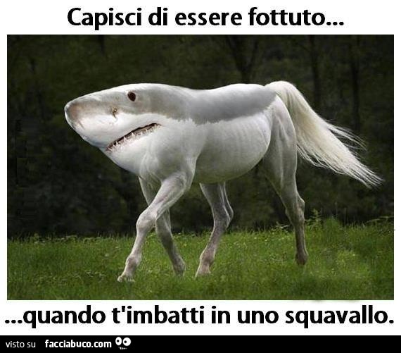 Capisci di essere fottuto quando t'imbatti in uno squavallo