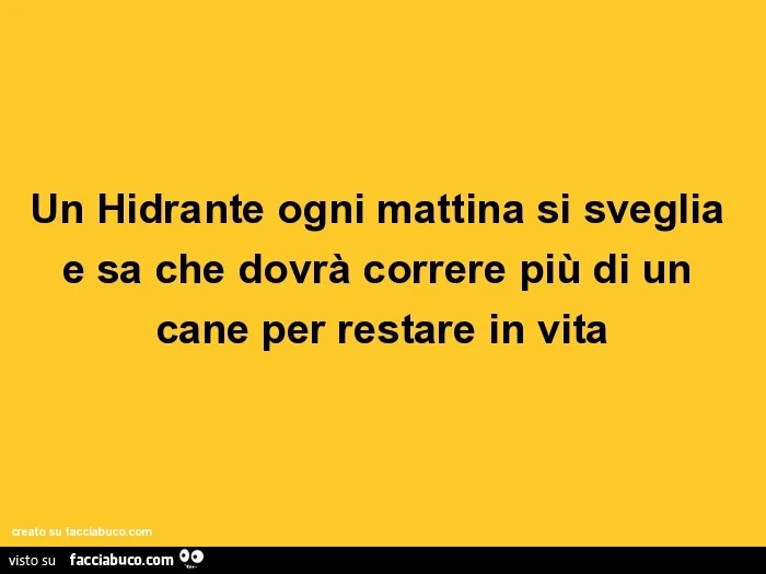 Un hidrante ogni mattina si sveglia e sa che dovrà correre più di un cane per restare in vita