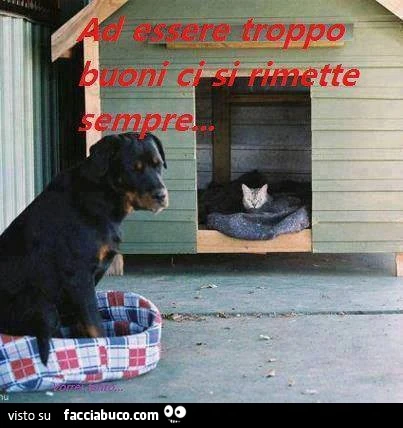 Ad essere troppo buoni ci si rimette sempre