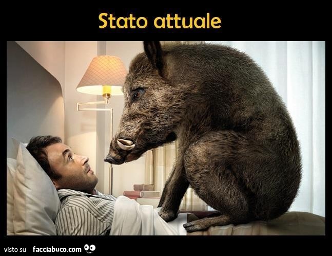 Stato attuale: cinghiale sullo stomaco