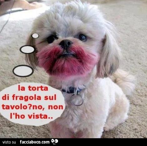 La torta di fragola sul tavolo? No, non l'ho vista