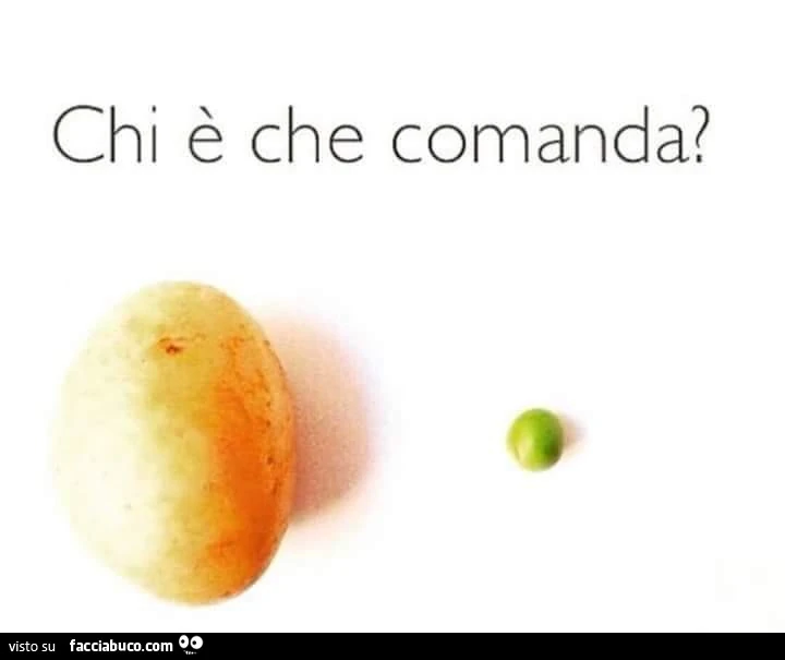 Chi è che comanda? Patata o pisello?