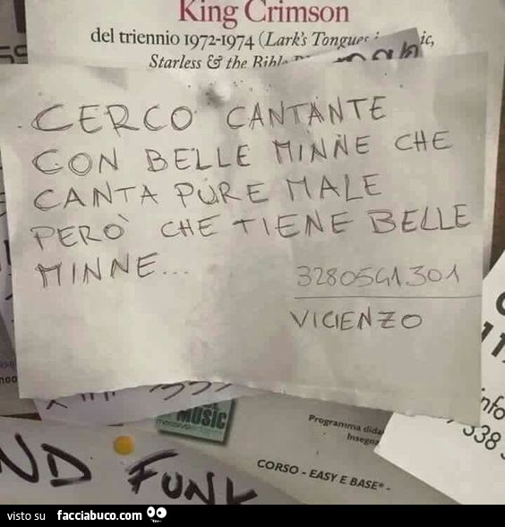 Cerco cantante con belle minne che canta pure male però che tiene belle minne