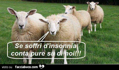 Se soffri d'insonnia conta pure su di noi