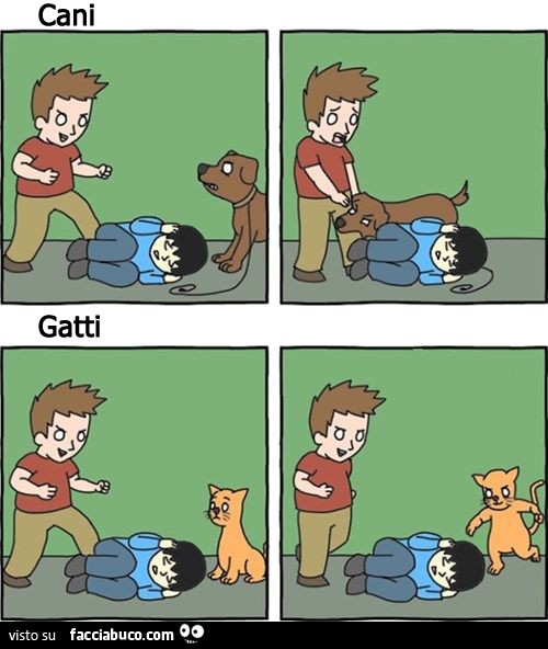 Differenza tra cani e gatti
