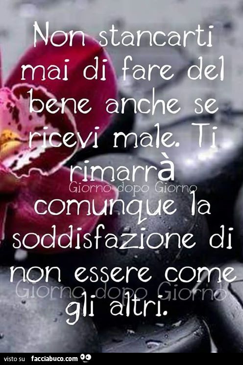 Non stancarti mai di fare del bene anche se ricevi male. Ti rimarrà comunque la soddisfazione di non essere come gli altri
