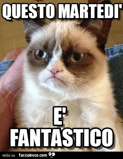Questo martedì è fantastico