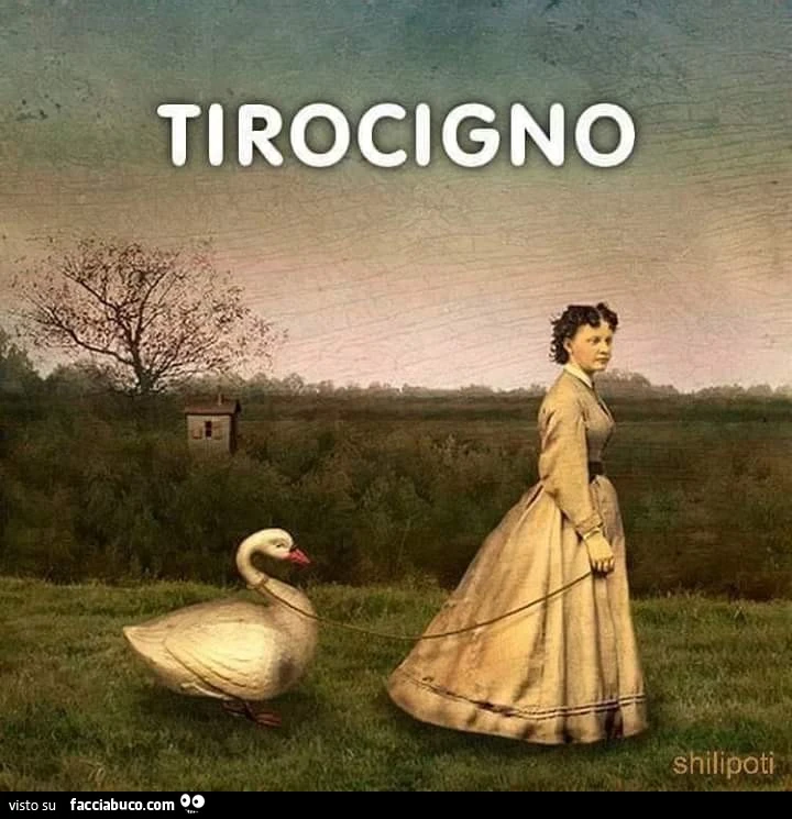 Tirocigno