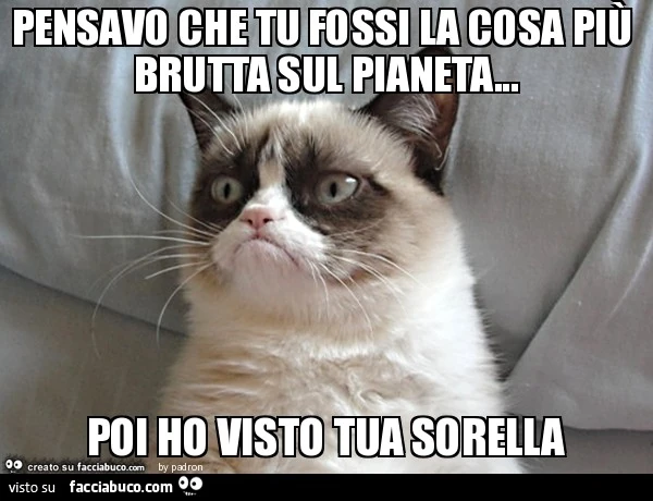 pensavo che tu fossi la cosa più brutta sul pianeta... poi ho visto tua sorella
