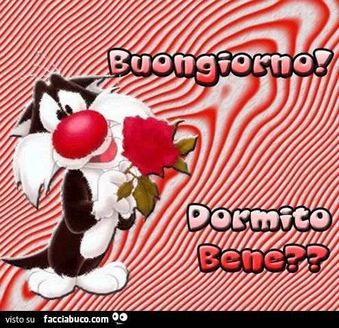 Gatto Silvestro: buongiorno! Dormito bene?