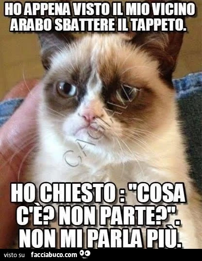 Ho appena visto il mio vicino arabo sbattere il tappeto. Ho chiesto: cosa c'è, non parte? Non mi parla più