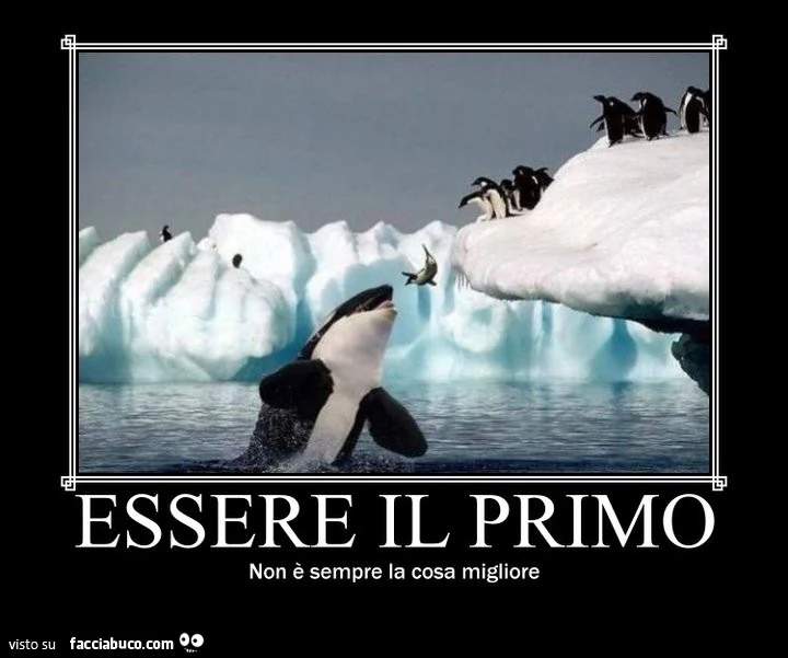 Essere il primo, non è sempre la cosa migliore