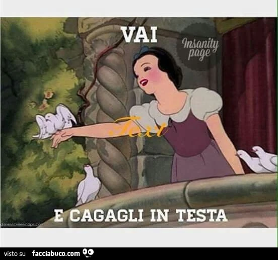 Vaccata