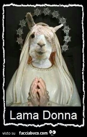 Lama Donna
