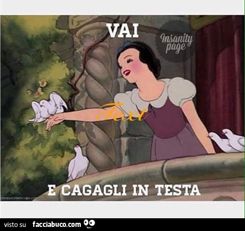 Vaccata