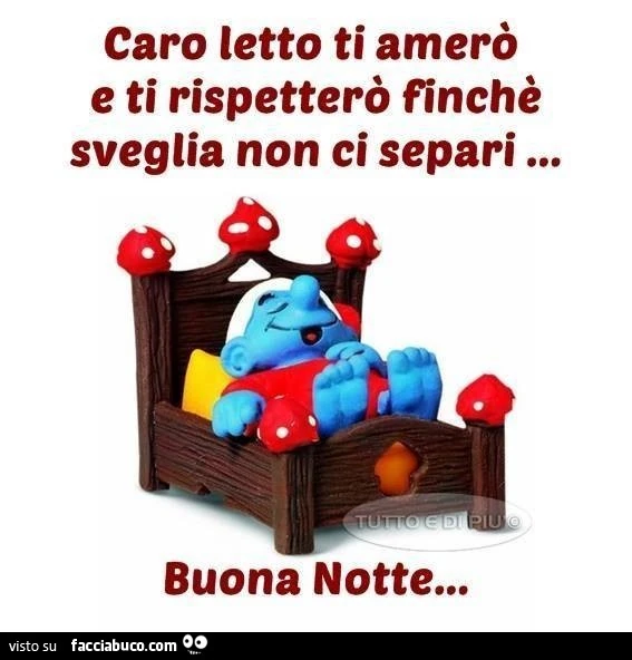 Caro letto ti amerò e ti rispetterò finchè sveglia non ci separi... buonanotte