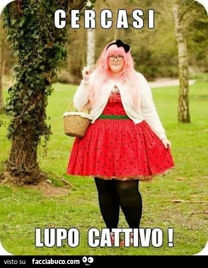 Cercasi lupo cattivo