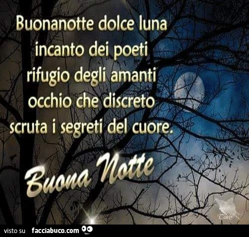 Buonanotte dolce luna incanto dei poeti rifugio degli amanti, occhio che discreto scruta i segreti del cuore. Buona notte