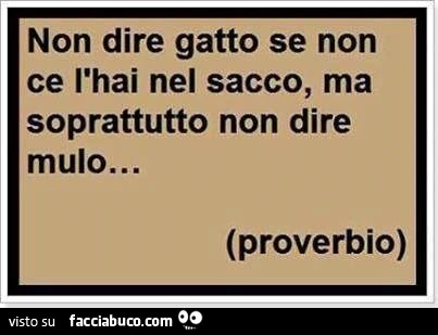 Non dire gatto se non ce l'hai nel sacco, ma soprattutto non dire mulo