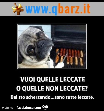 Vuoi quelle leccate o quelle non leccate? Dai sto scherzando, sono tutte leccate