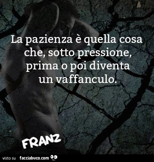 La pazienza è quella cosa che sotto pressione prima o poi diventa un vaffanculo