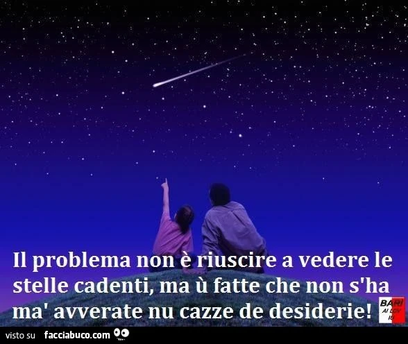 stelle cadenti
