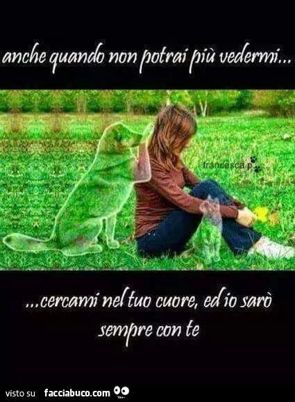 Anche quando non potrai più vedermi... cercami nel tuo cuore, ed io sarò sempre con te