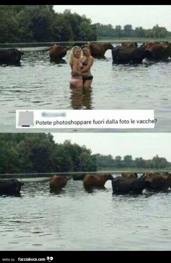 potreste photoshoppare fuori dalla foto le vacche?