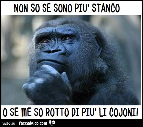 Non so se sono più stanco o se me so rotto di più li cojoni