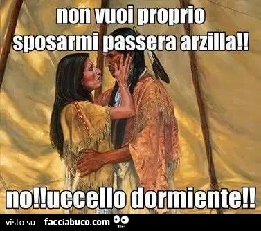 Non vuoi proprio sposarmi passera arzilla? No uccello dormiente