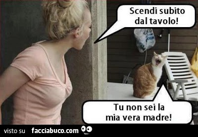 Scendi subito dal tavolo! Tu non sei la mia vera madre