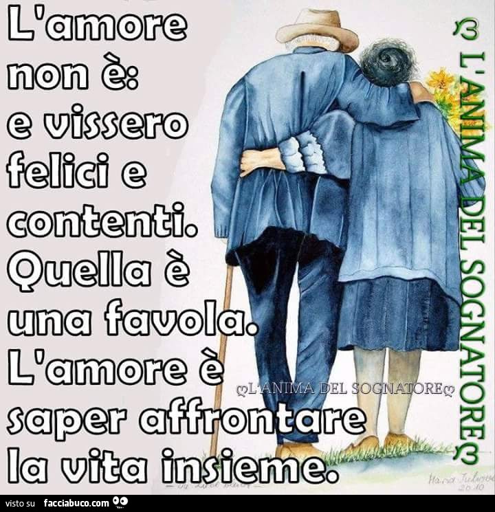 L'amore non è: e vissero felici e contenti. Quella è una favola. L'amore è saper affrontare la vita insieme