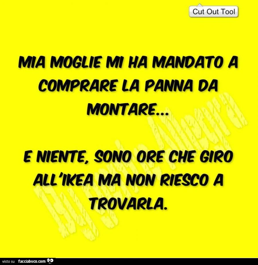 Mia moglie mi ha mandato a comprare la panna da montare