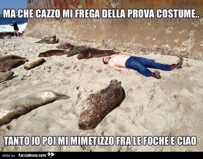 Ma che cazzo mi frega della prova costume, tanto io poi mi mimetizzo fra le foche e ciao