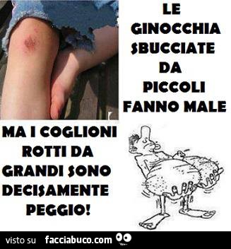Le ginocchia sbucciate da piccoli fanno male, ma i coglioni rotti da grandi sono decisamente peggio