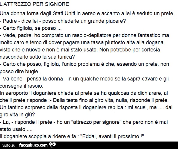 L'attrezzo per signore: una donna torna dagli Stati Uniti in aereo e accanto a lei è seduto un prete