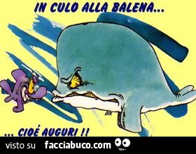 In culo alla balena! Cioè auguri