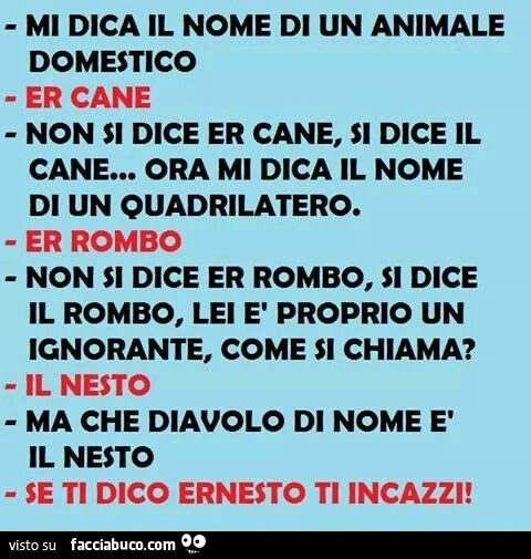 Ignorante come si chiama? Il Nesto. Ma che diavolo di nome è? Se ti dico Ernesto ti incazzi