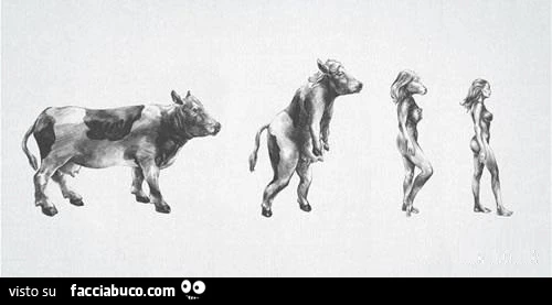 Evoluzione da vacca a donna