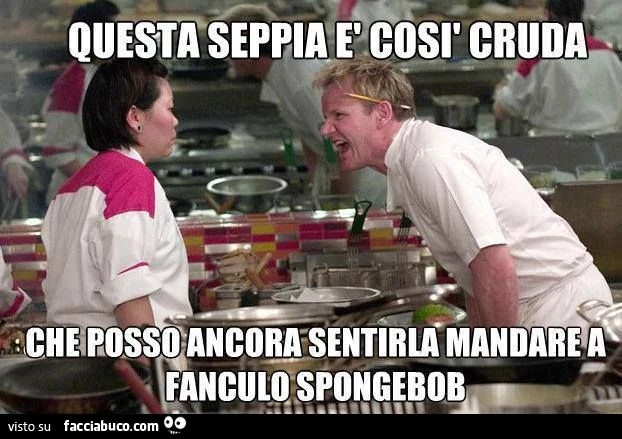questa seppia è così cruda che posso ancora sentirla mandare a fanculo spongebob