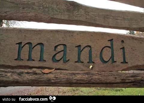 mandi