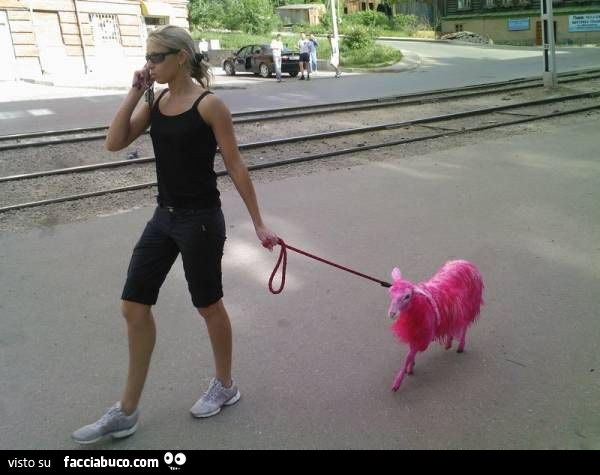 Ragazza con una pecora rosa al guinzaglio
