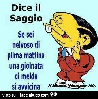 Dice il saggio: se sei nelvoso di plima mattina una giolnata di melda si avvicina