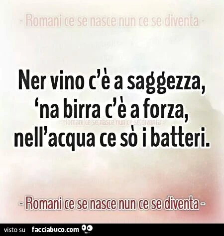 Ner vino c'è a saggezza, 'na birra c'è a forza, nell'acqua ce sò i batteri