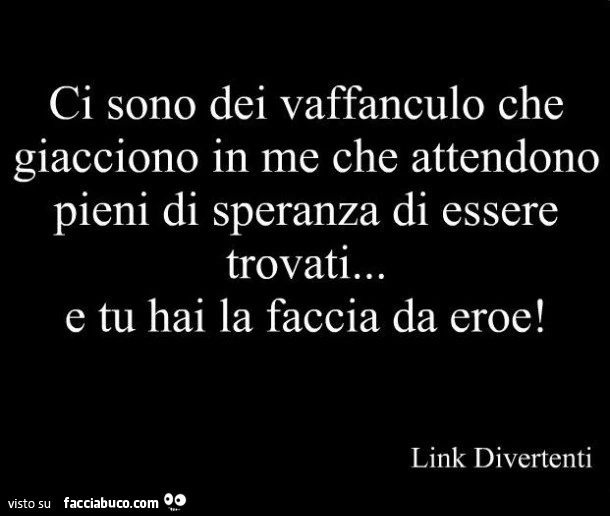 Ci sono dei vaffanculo che giacciono in me che attendono pieni di speranza di essere trovati, e tu hai la faccia da eroe