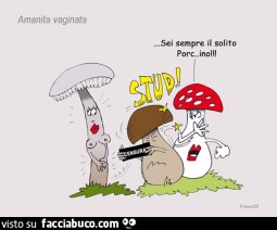 Vaccata